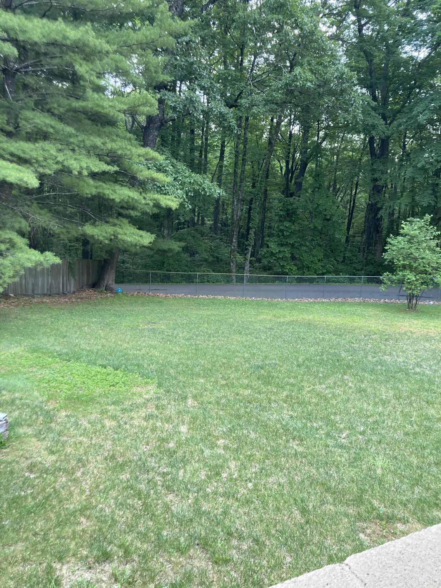 9404 Robin Road Coeburn, VA 24230 - Photo 8 of 26 IMG_0448