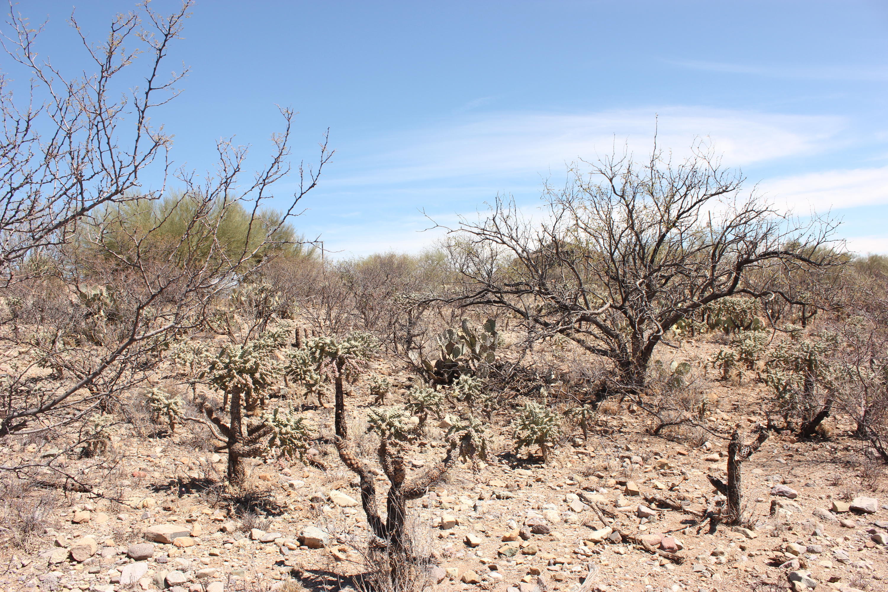 1886 Circulo Guatemala, Unit 269 Rio Rico, AZ 85648 - Photo 2 of 3
