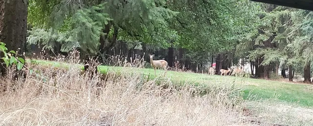 $800,000 | 8521 North Starr Road, Newman Lake, WA 99025