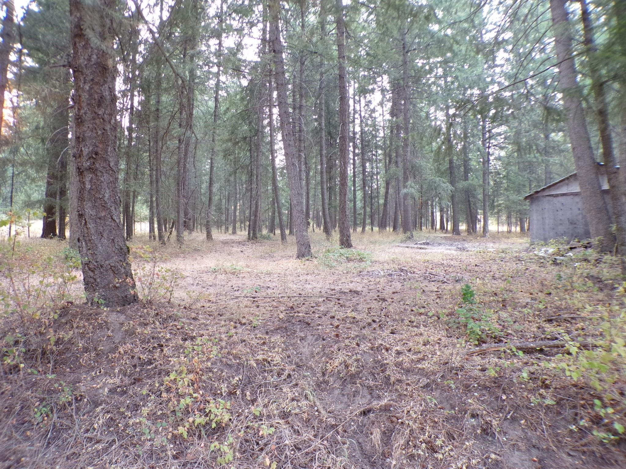 8521 North Starr Road Newman Lake, WA 99025 - Photo 29 of 38