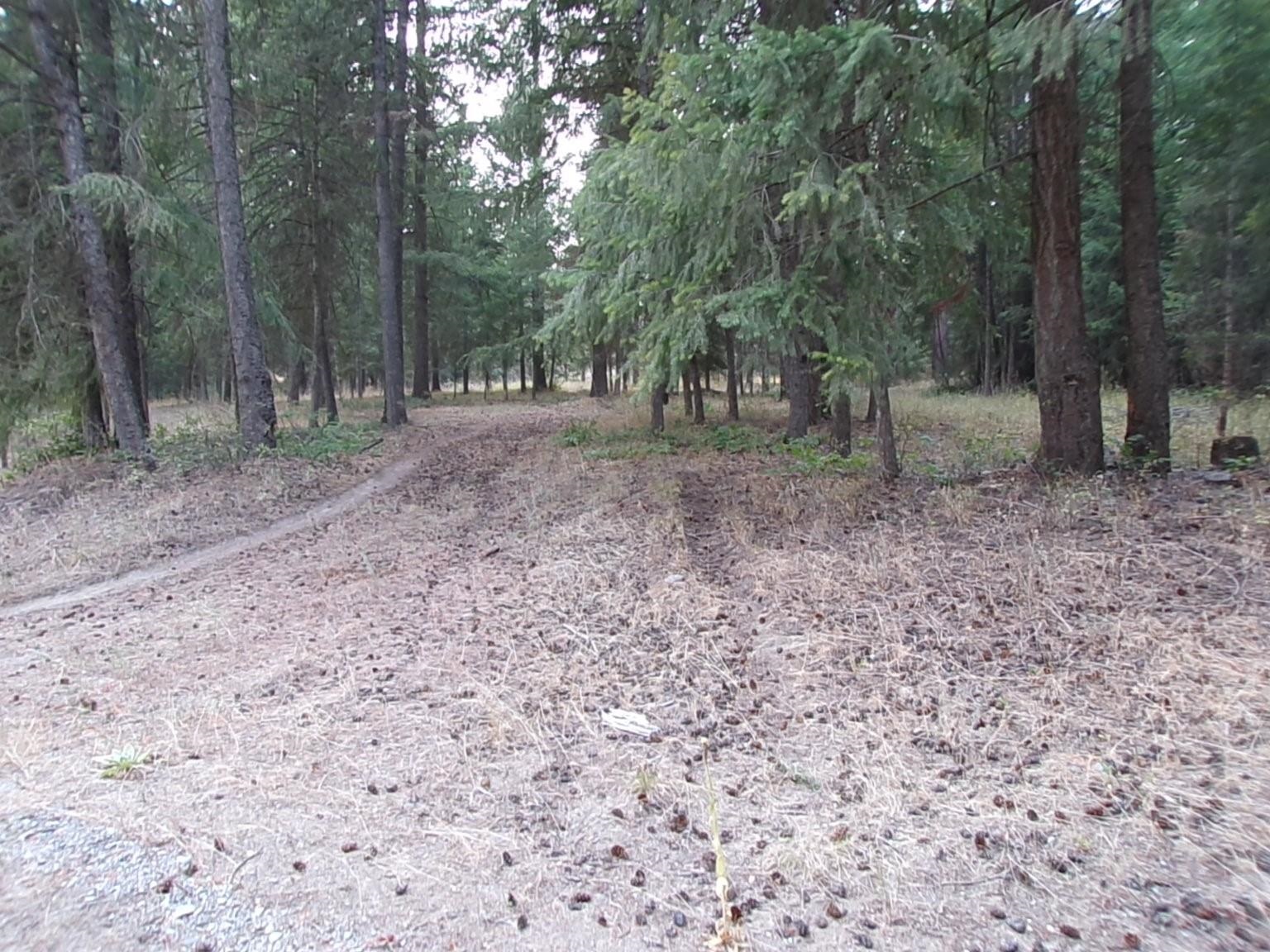 8521 North Starr Road Newman Lake, WA 99025 - Photo 9 of 38