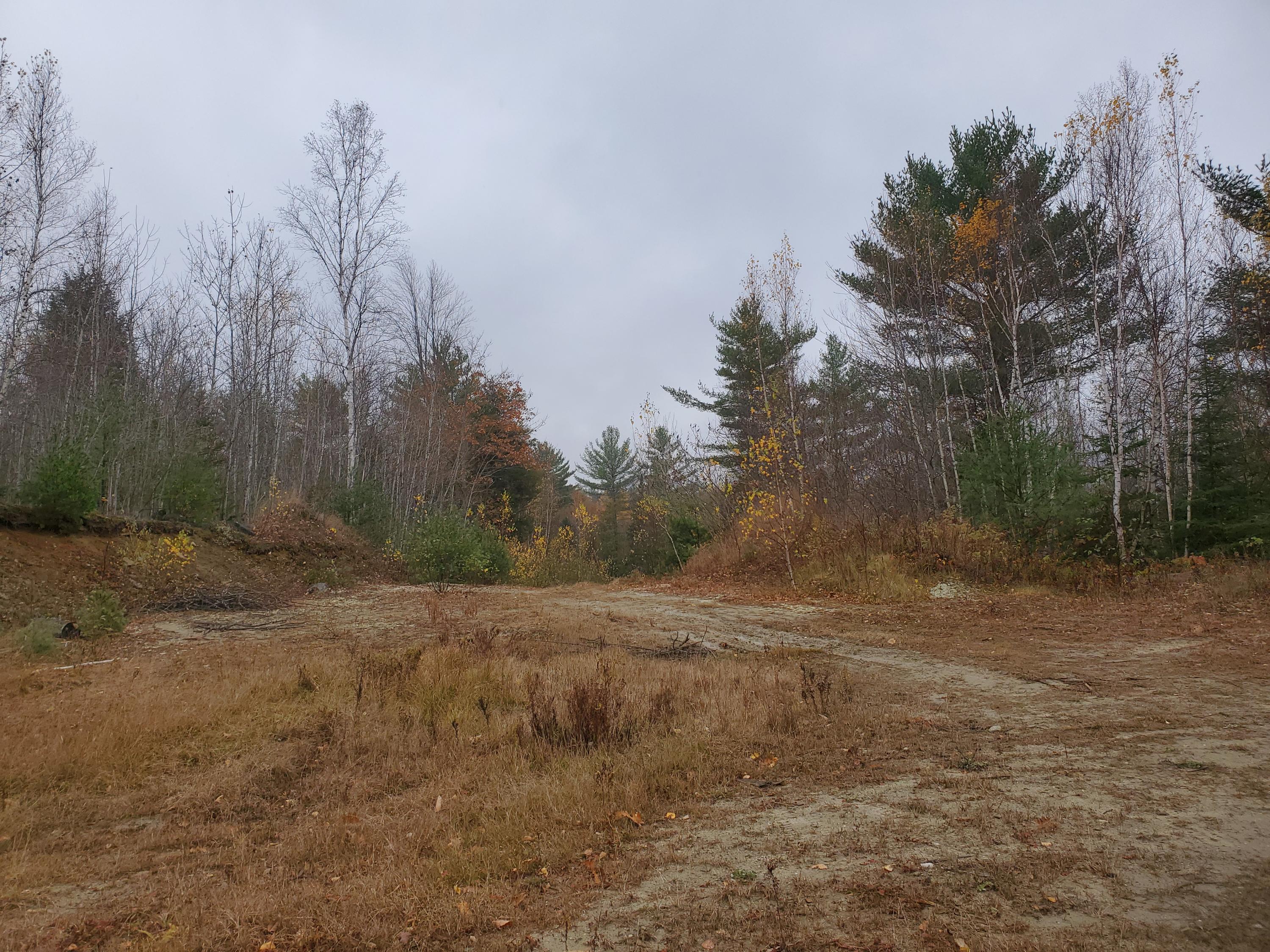 Tbd Tbd Round The Pond & Upton Brother Roads Norway, ME 04268 - Photo 2 of 11 20201028_143647