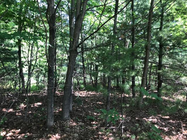 Rogers Road Alanson, MI 49706 - Photo 1 of 9 Gallery Image 1