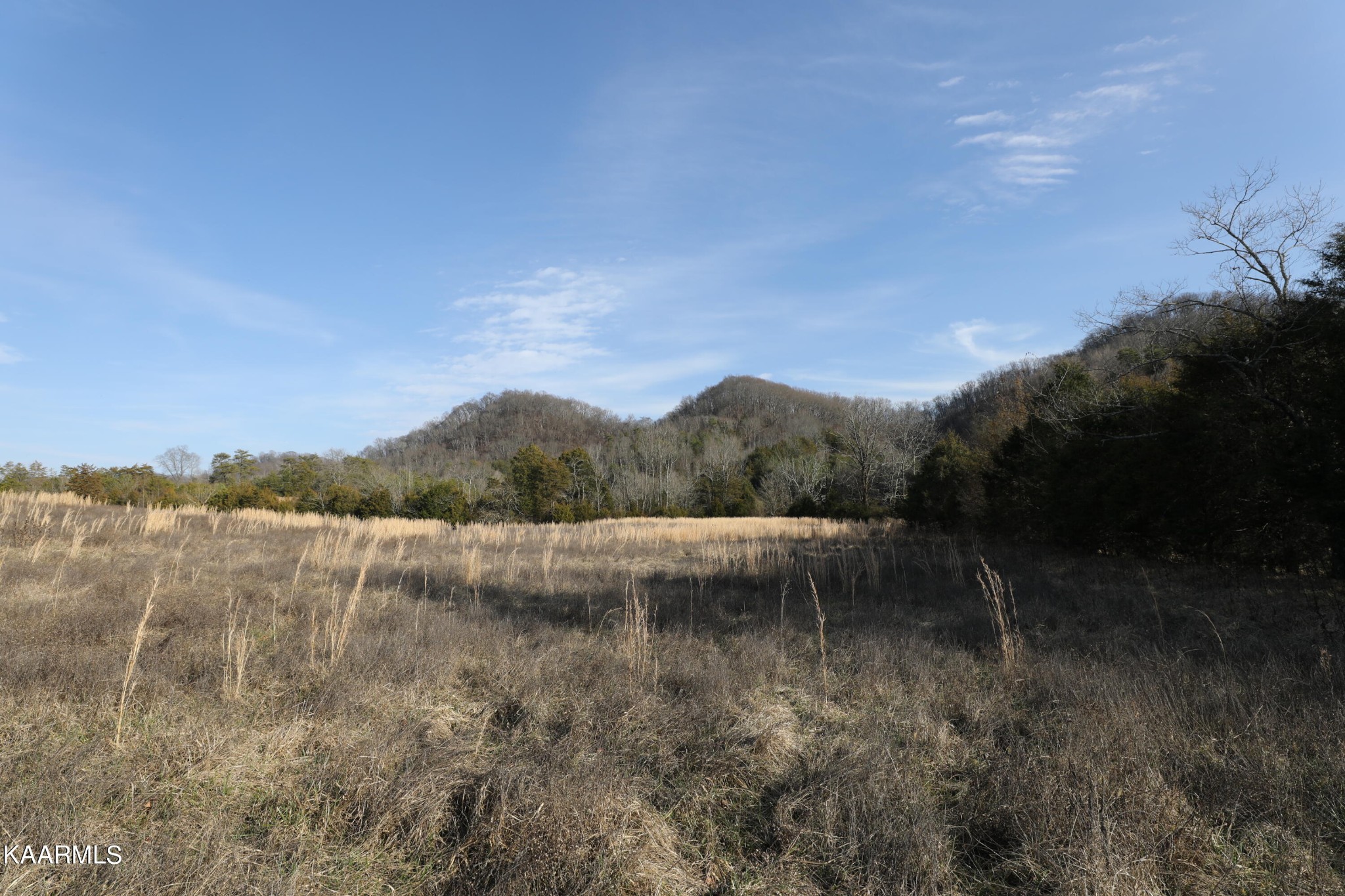 0 Sleepy Valley Road Madisonville, TN 37354 - Photo 19 of 24 Gallery Image 19