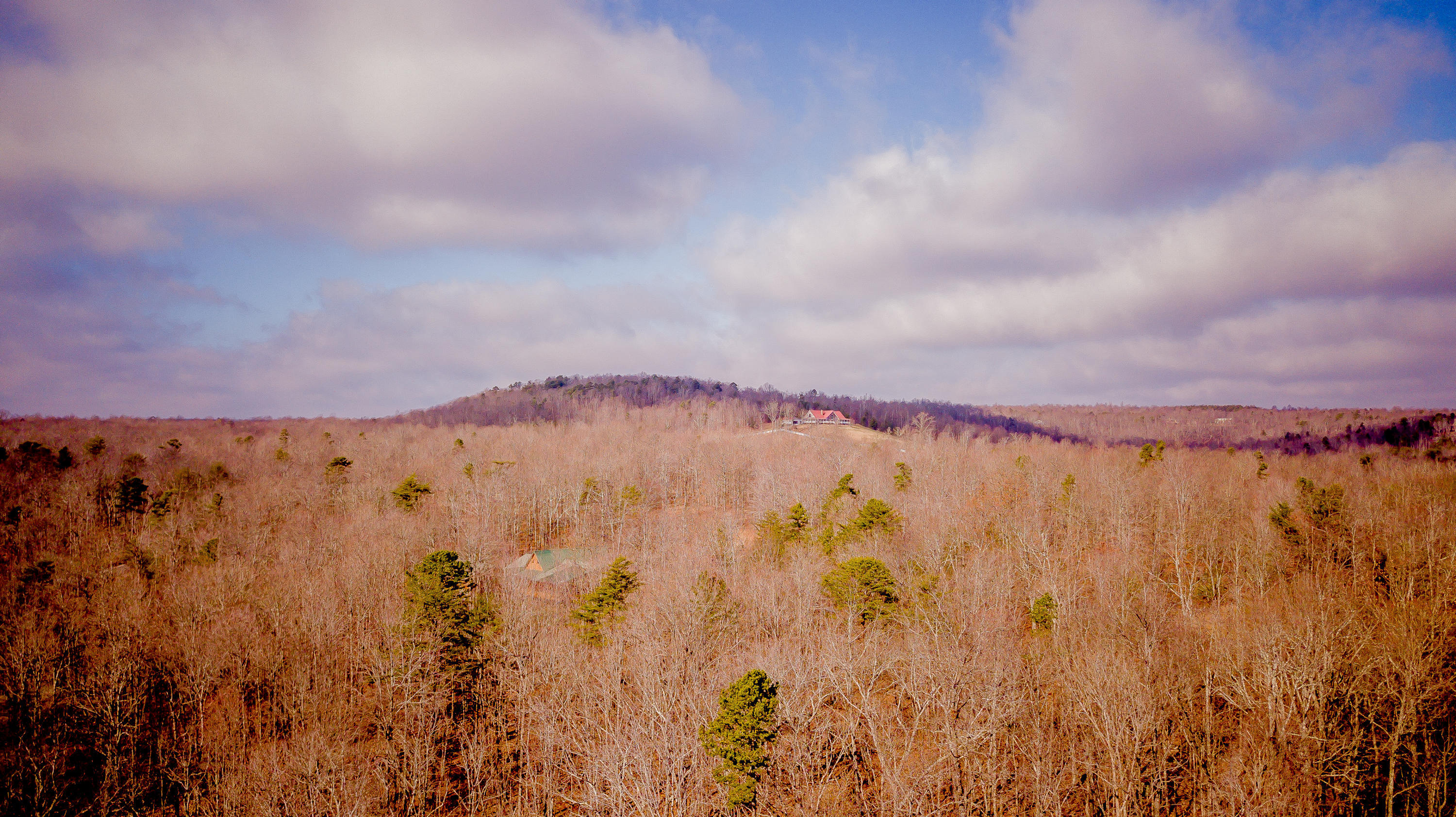 Mountain View on Treehouse Trail