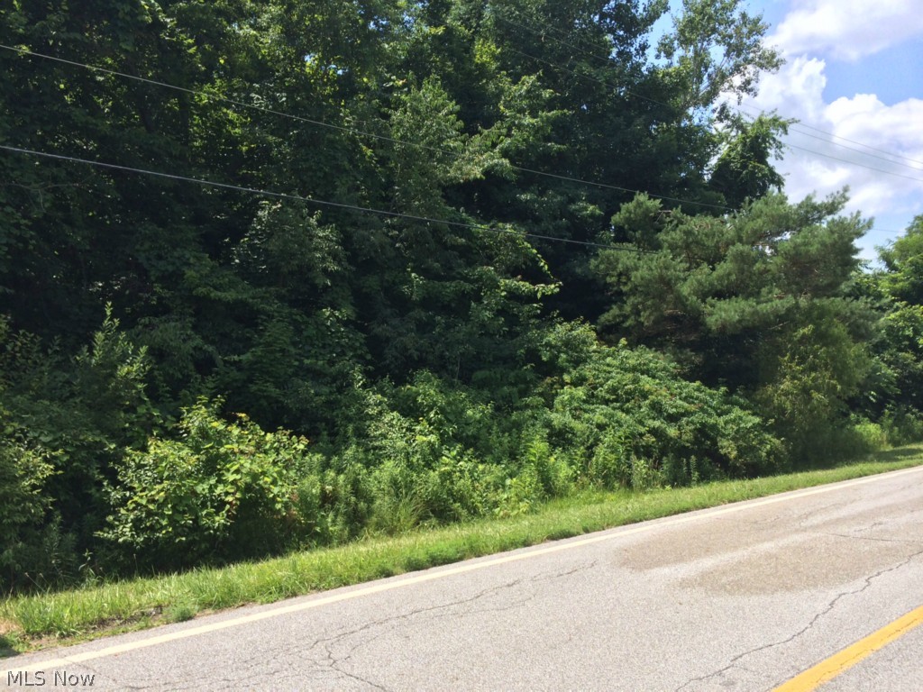 Lyntz Road Warren, OH 44481 - Photo 2 of 3