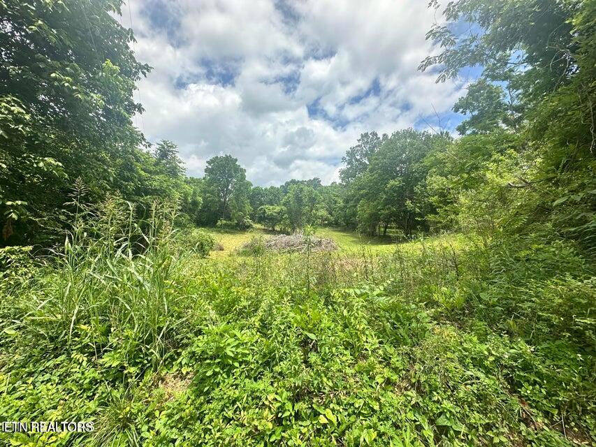 1123 Pleasant Ridge Road La Follette, TN 37766 - Photo 11 of 13 20250623211843841704000000-o