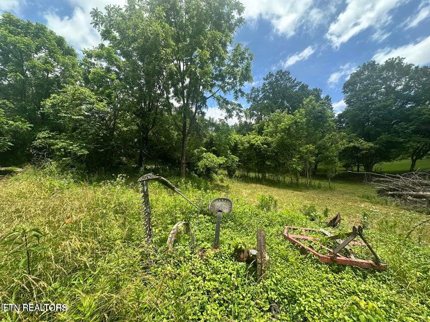 1123 Pleasant Ridge Road La Follette, TN 37766 - Photo 5 of 13 20250623174351780886000000-o