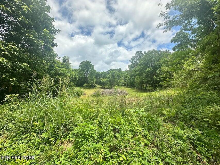 1123 Pleasant Ridge Road La Follette, TN 37766 - Photo 6 of 13 20250623174357743397000000-o