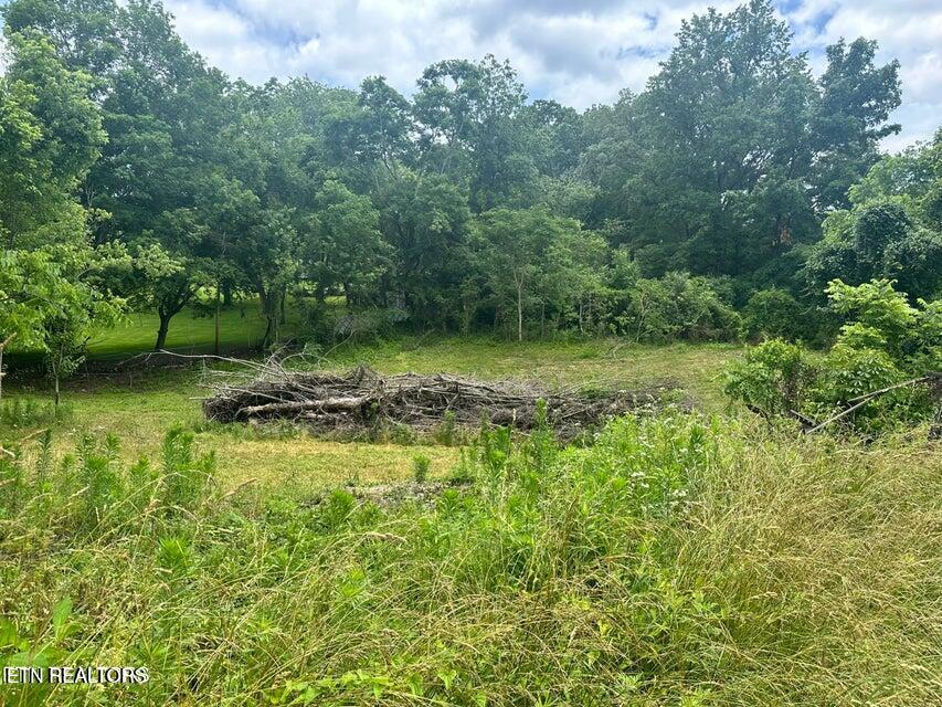 1123 Pleasant Ridge Road La Follette, TN 37766 - Photo 7 of 13 20250623211820542051000000-o