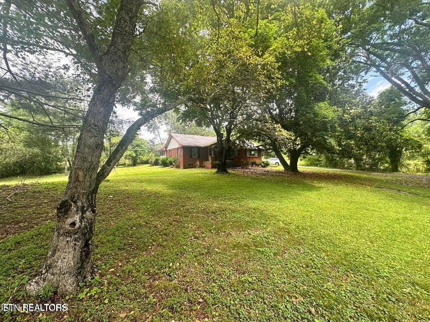1123 Pleasant Ridge Road La Follette, TN 37766 - Photo 9 of 13 20250623211834198029000000-o