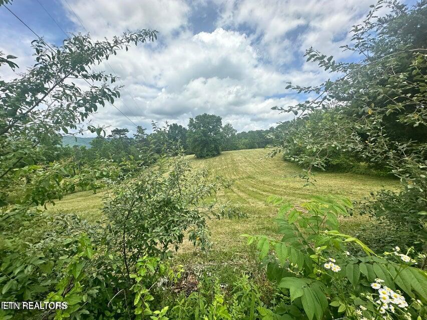 1123 Pleasant Ridge Road La Follette, TN 37766 - Photo 10 of 13 20250623211841226381000000-o