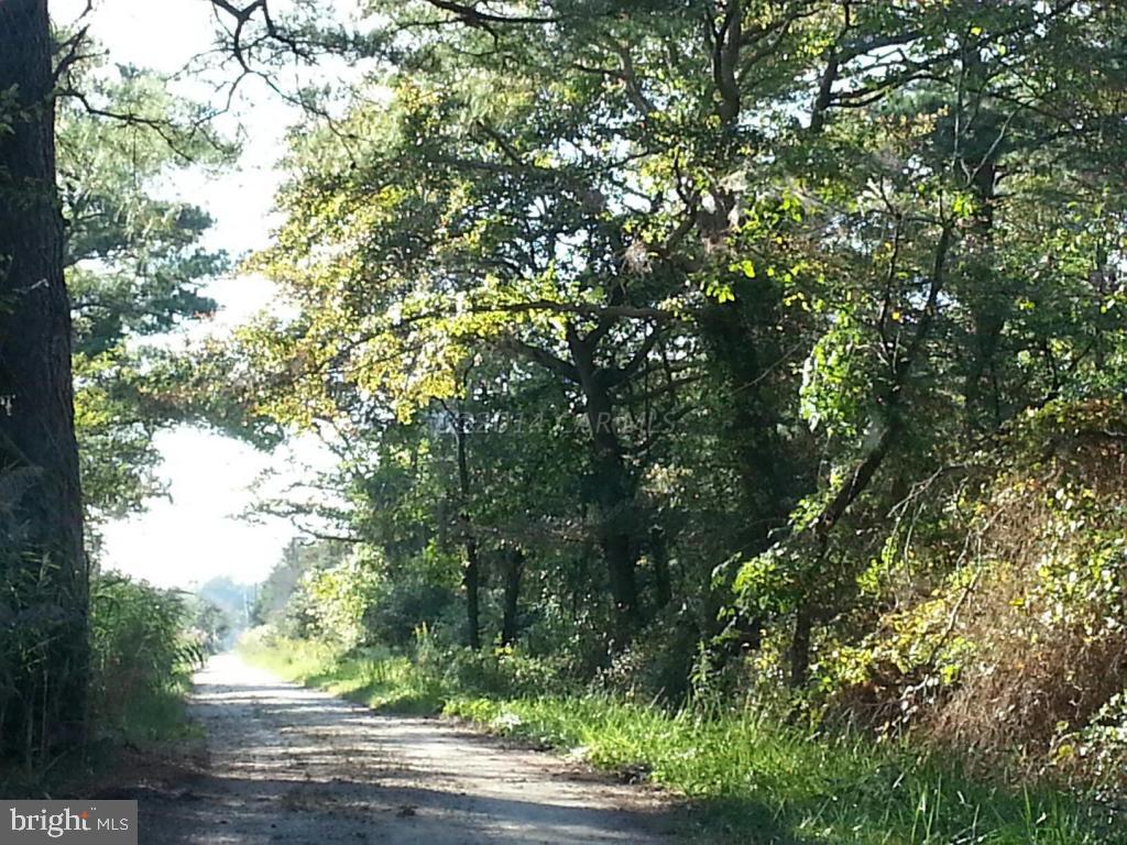 Champ Road Princess Anne, MD 21853 - Photo 4 of 26