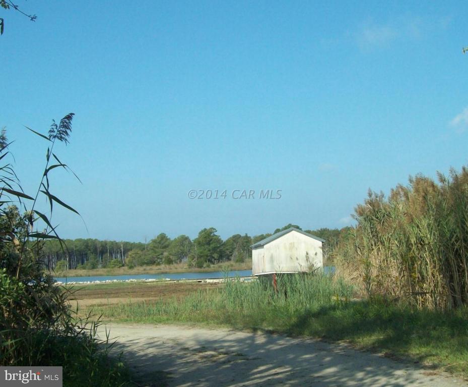 Champ Road Princess Anne, MD 21853 - Photo 6 of 26