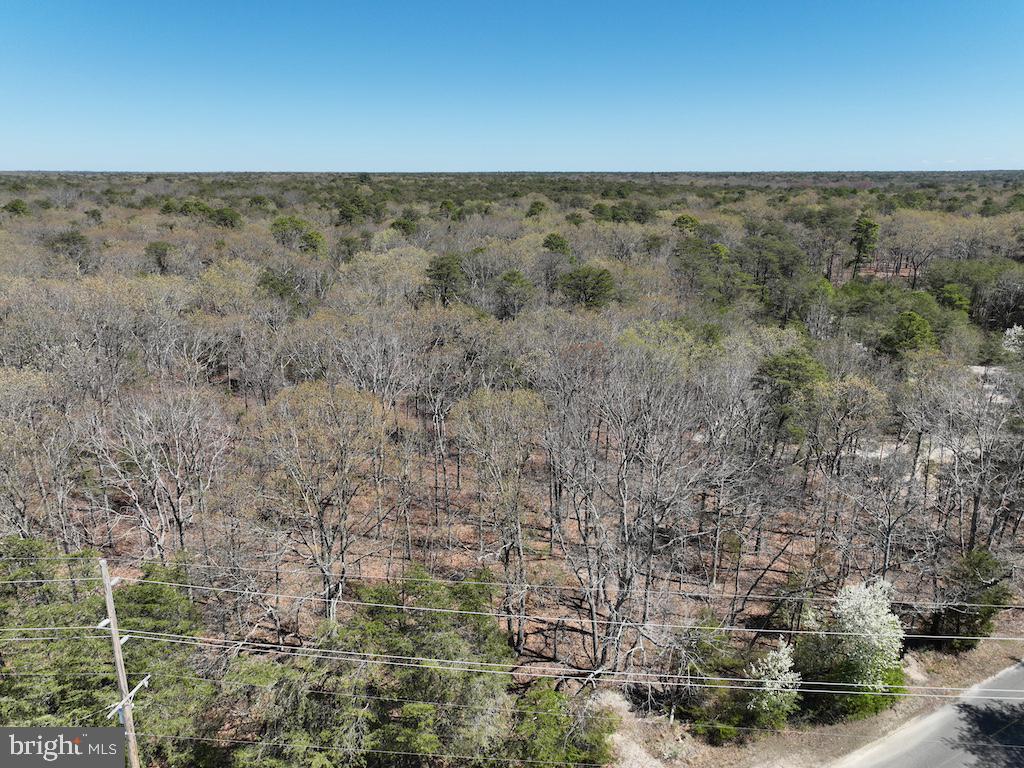 351 Shaws Mill Road Cedarville, NJ 08311 - Photo 54 of 84
