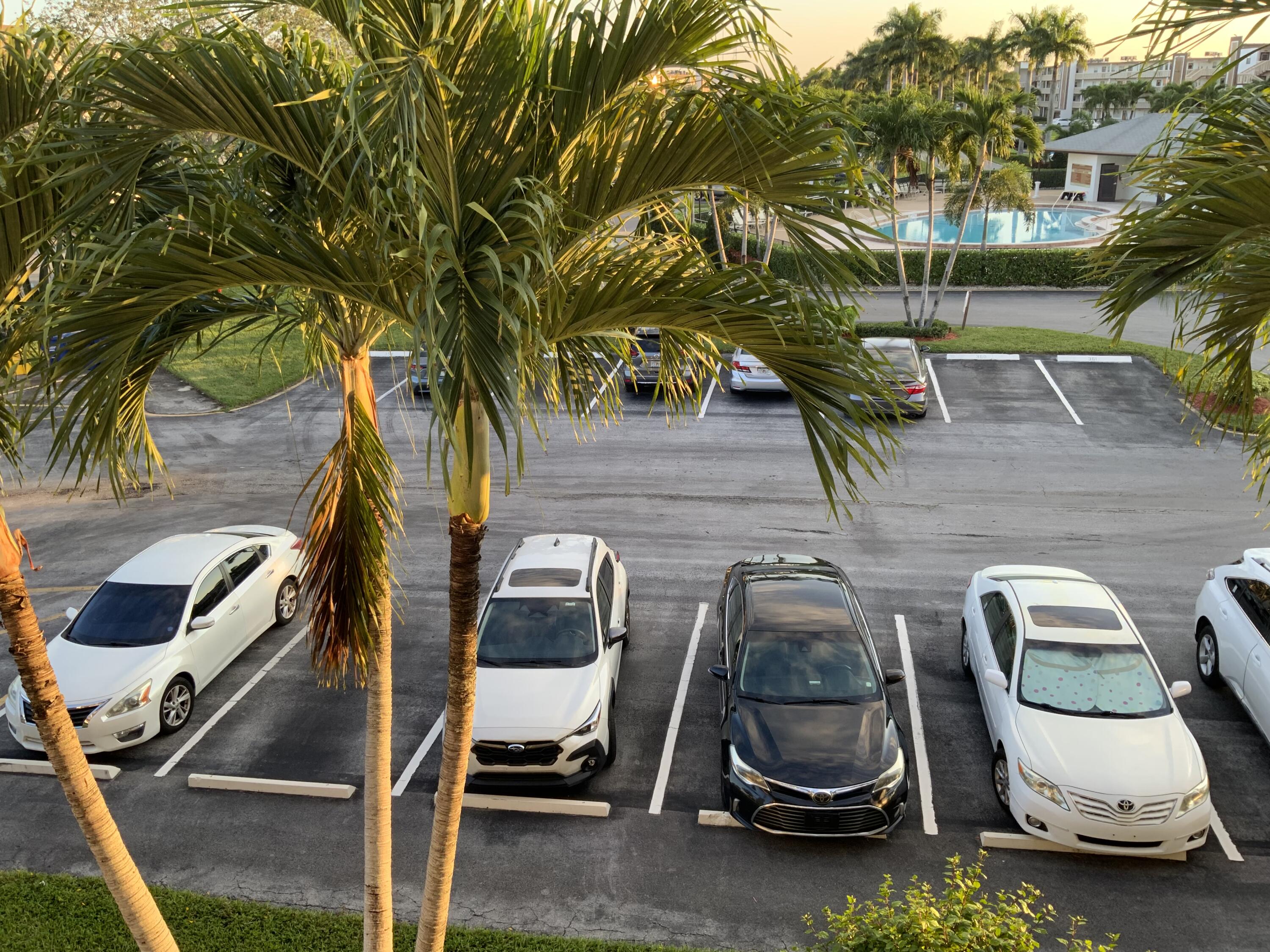 3038 Guilford C Boca Raton, FL 33434 - Photo 38 of 39 IMG_2169