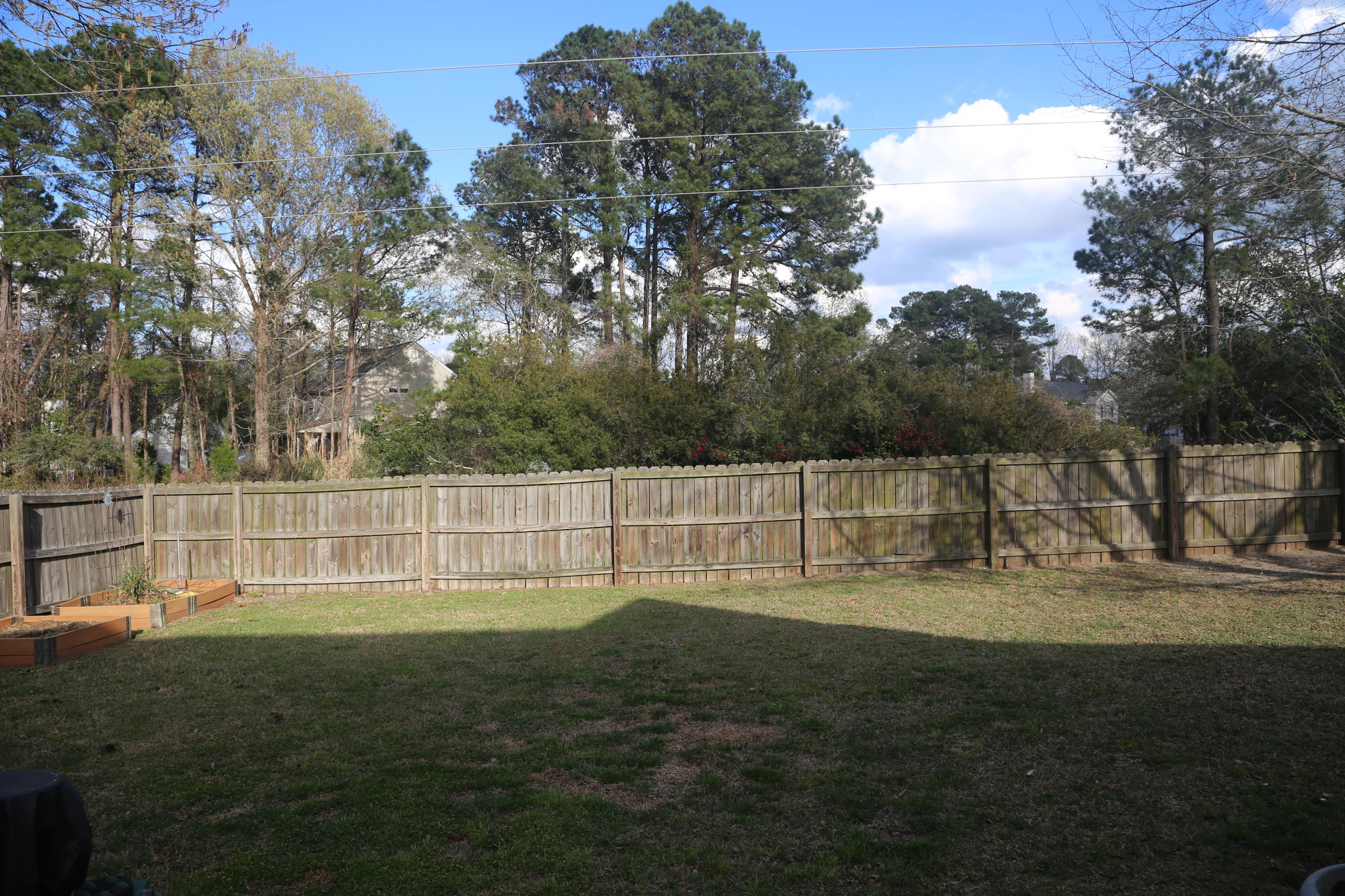 1325 Balcome Road Mount Pleasant, SC 29466 - Photo 12 of 15 Back Yard with Wooded Buffer