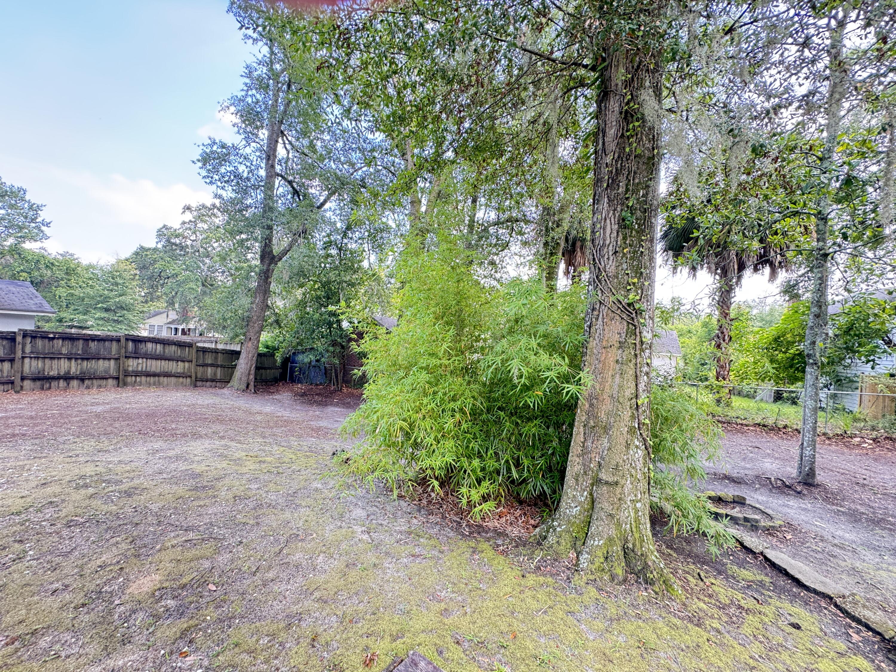 106 Haynes Street Walterboro, SC 29488 - Photo 155 of 195 106 Hayne Street (231)