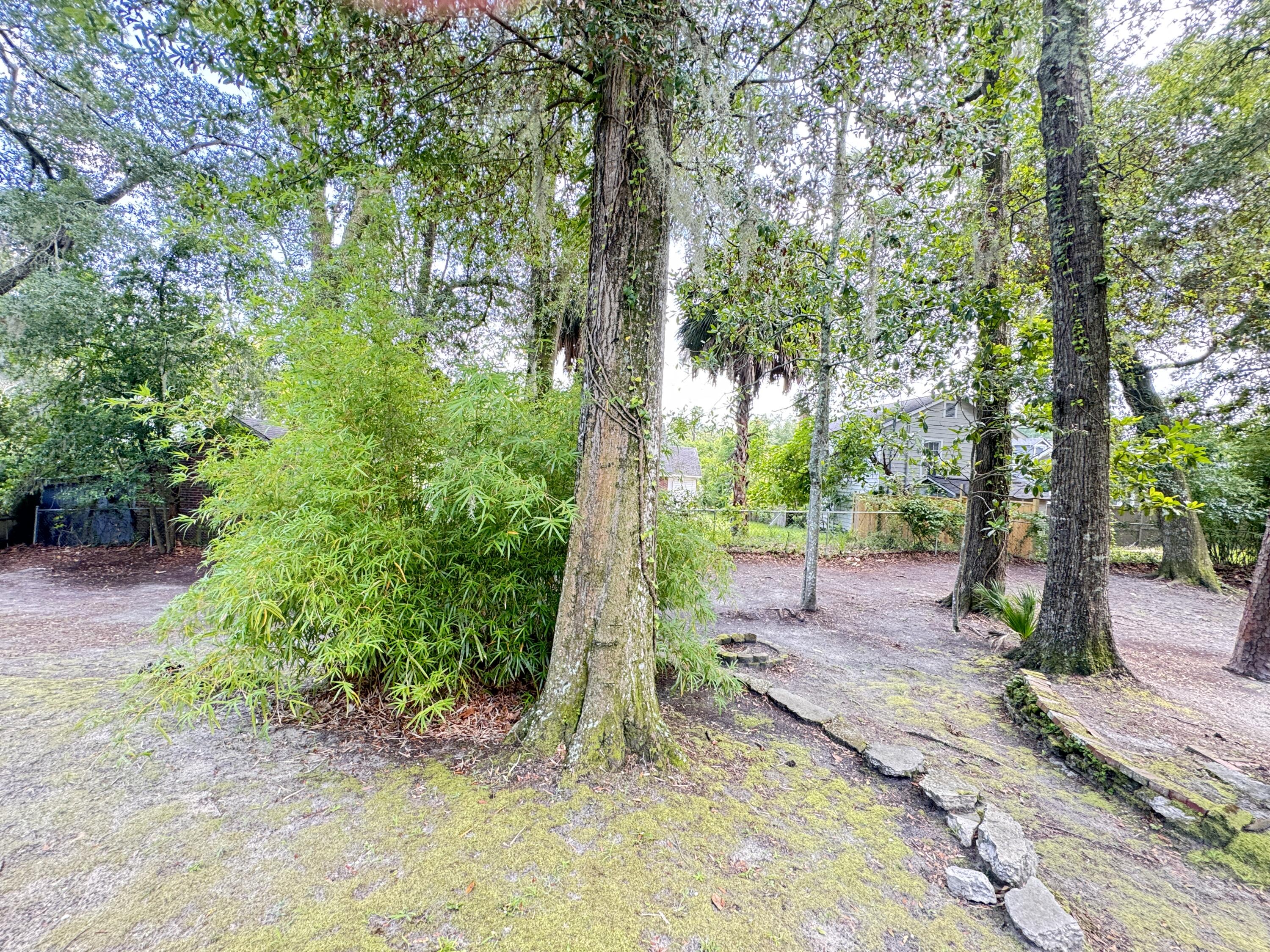 106 Haynes Street Walterboro, SC 29488 - Photo 156 of 195 106 Hayne Street (232)