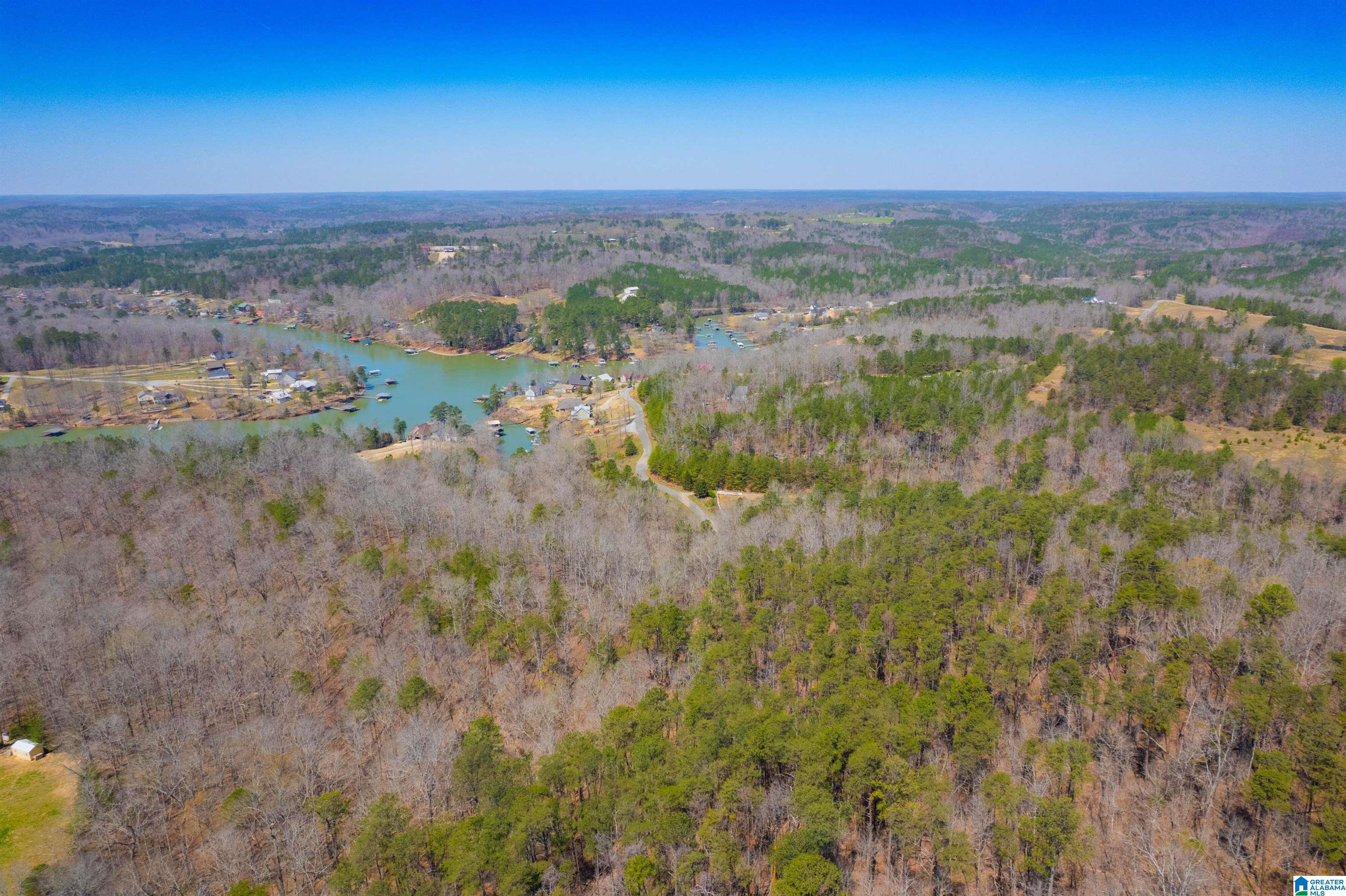 0 Lakeview Lane Houston, AL 35572 - Photo 7 of 15
