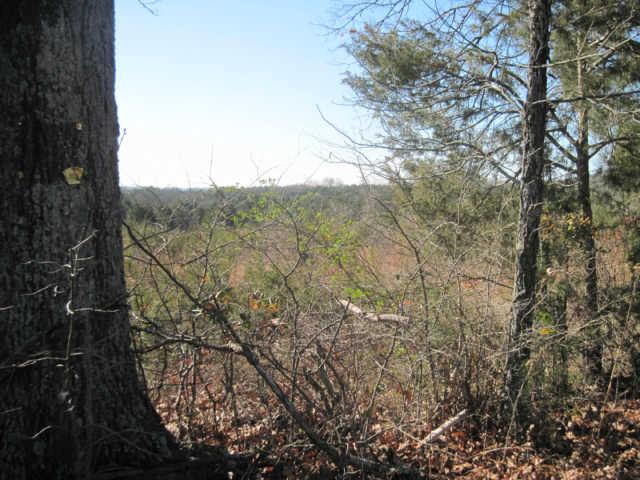 0 Cainsville Road Lascassas, TN 37085 - Photo 2 of 9