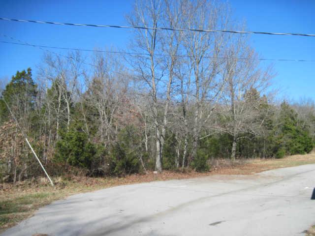 0 Cainsville Road Lascassas, TN 37085 - Photo 4 of 9