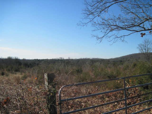 0 Cainsville Road Lascassas, TN 37085 - Photo 5 of 9