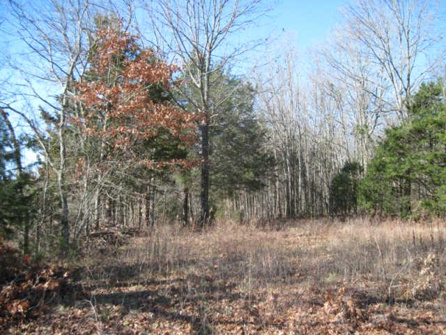 0 Cainsville Road Lascassas, TN 37085 - Photo 6 of 9