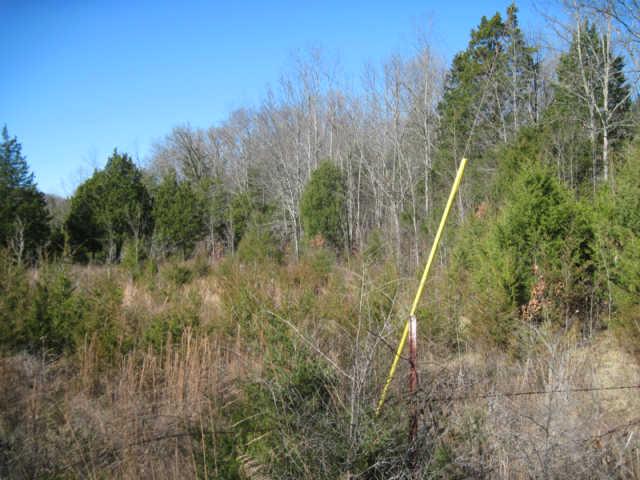 0 Cainsville Road Lascassas, TN 37085 - Photo 9 of 9