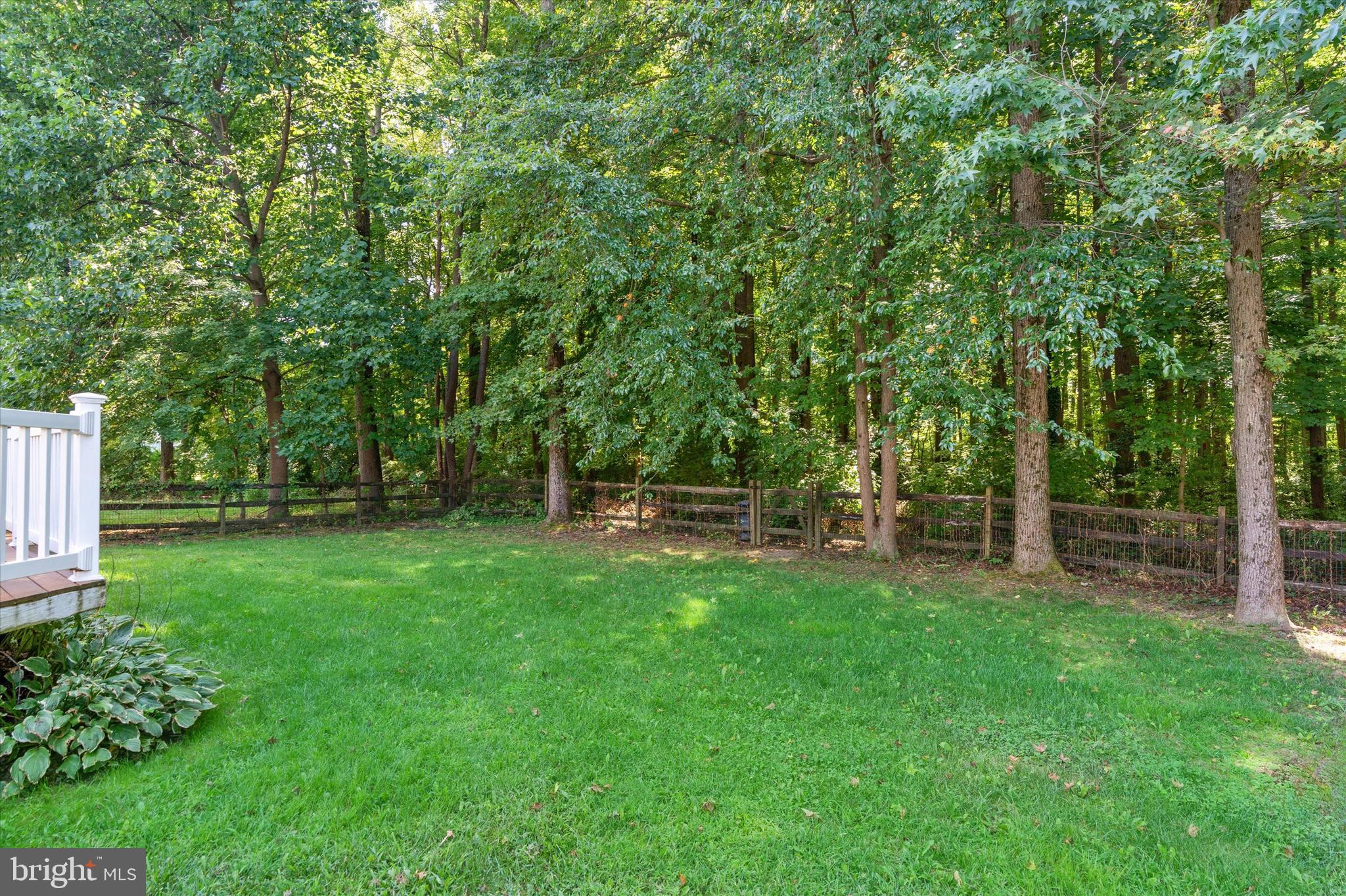 219 Foxglove Loop Bear, DE 19701 - Photo 38 of 41