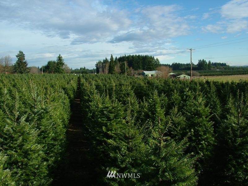 1 Tennessee Road Winlock, WA 98596 - Photo 1 of 1