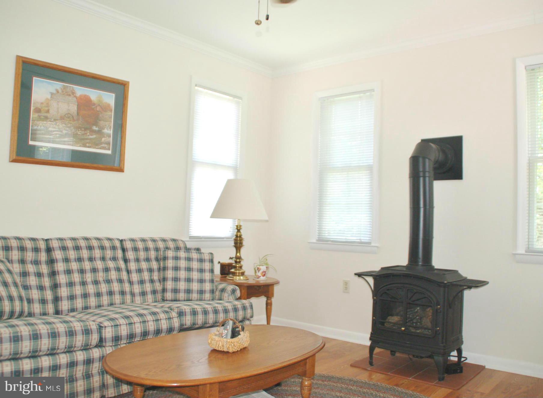8059 Stone Ridge Drive Frederick, MD 21702 - Photo 16 of 29 Main level Fam. Room w/Gas FP