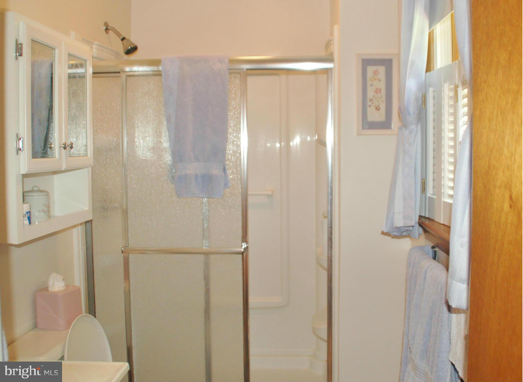 8059 Stone Ridge Drive Frederick, MD 21702 - Photo 22 of 29 Au suite master bath w/step in shower