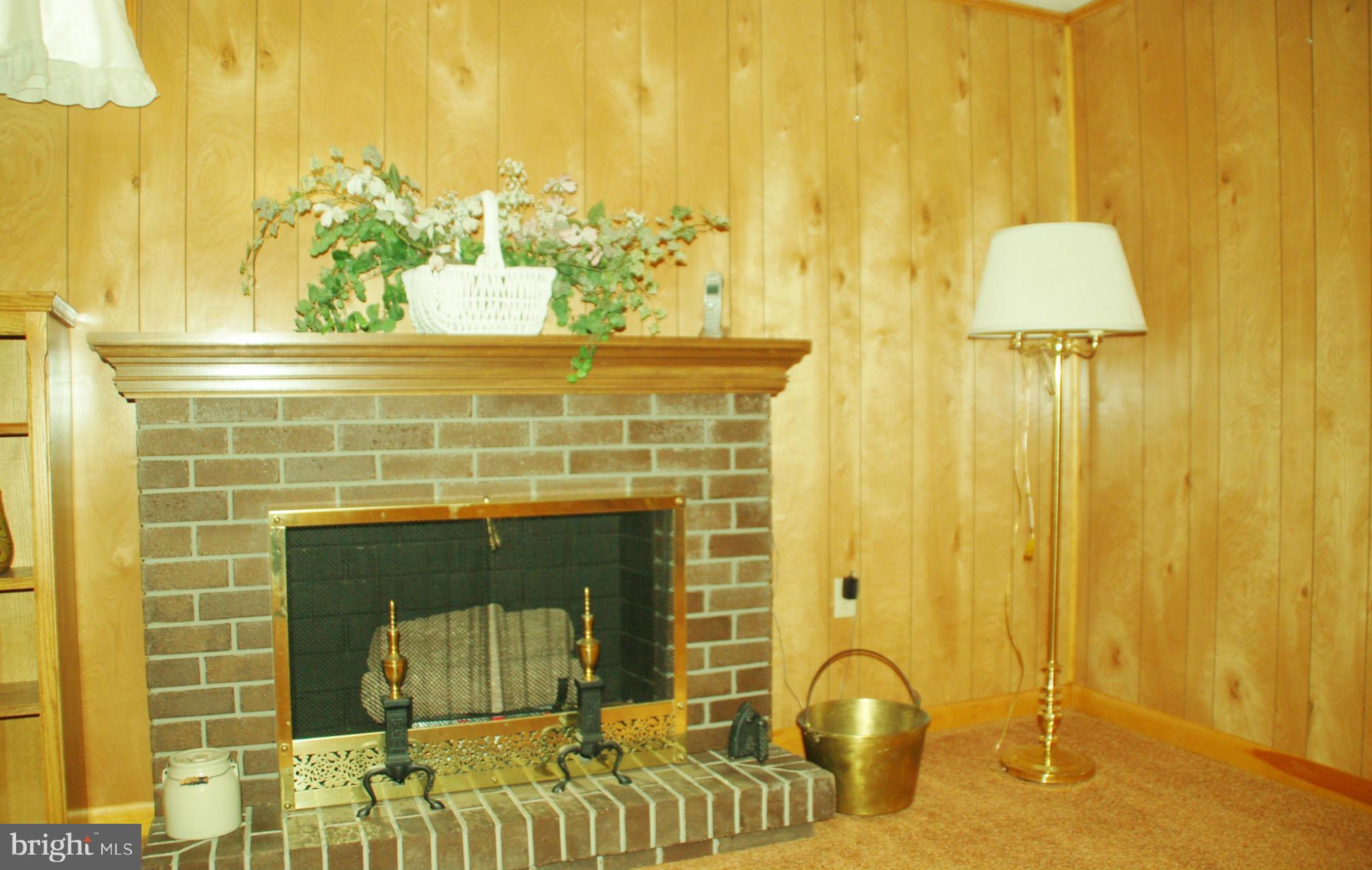 8059 Stone Ridge Drive Frederick, MD 21702 - Photo 27 of 29 Brick gas fireplace for cozy evenings