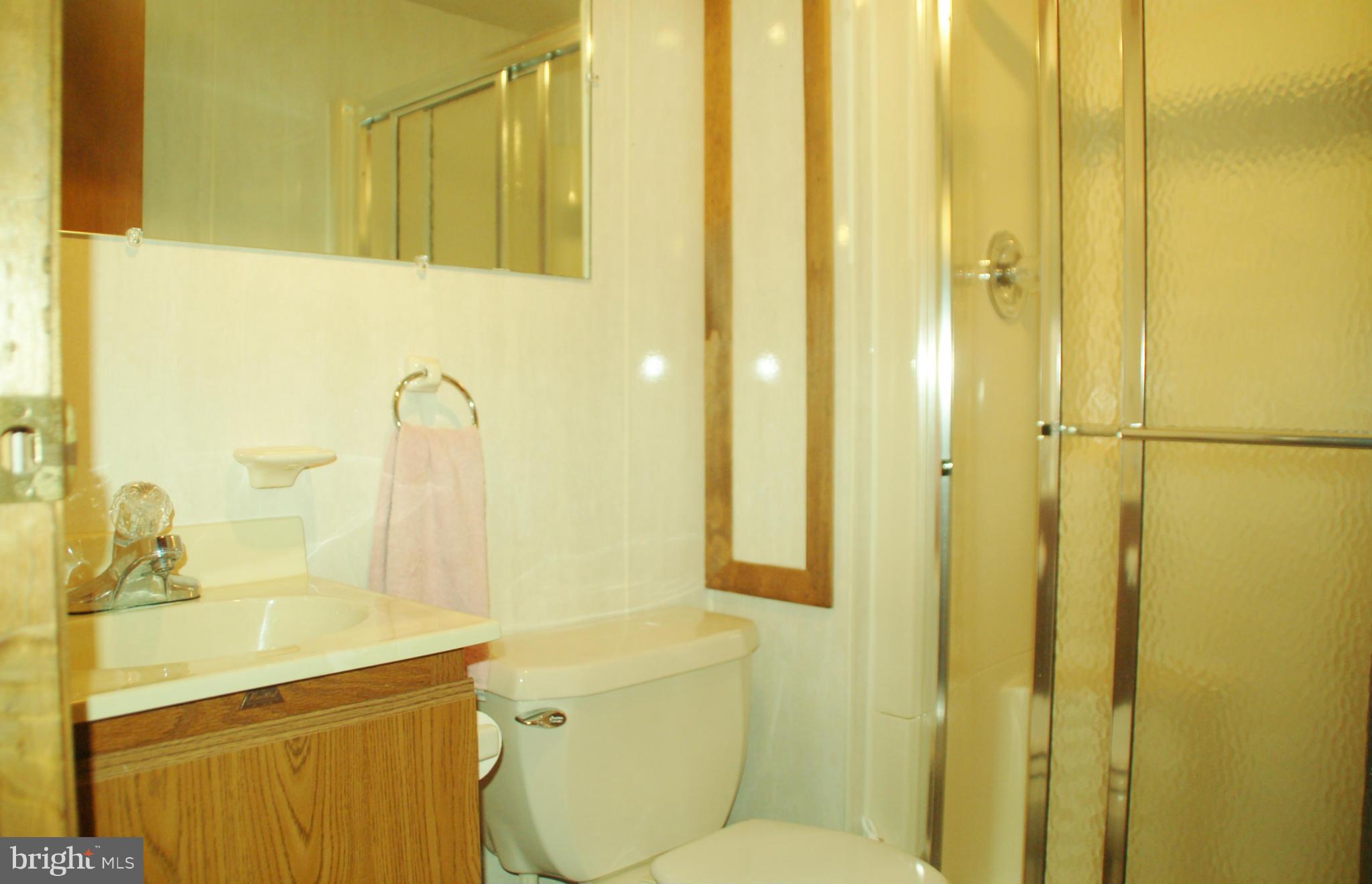 8059 Stone Ridge Drive Frederick, MD 21702 - Photo 29 of 29 Full bath on lower level