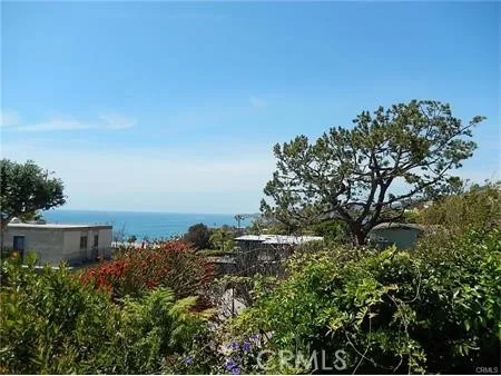 a couple of flower plants in front of house