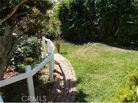 a view of a yard in a garden