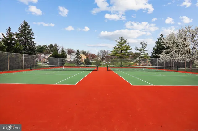 a view of a backyard with a large tree