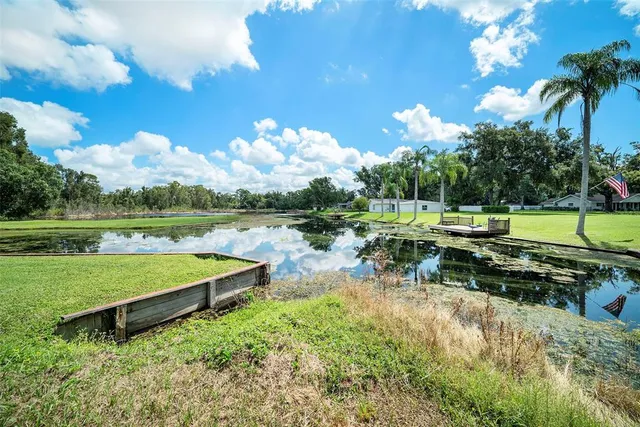 a view of a park with large trees