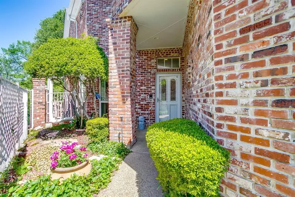 a view of a garden with a pathway