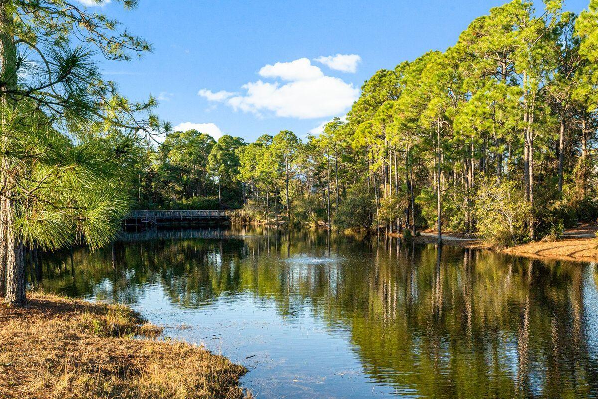 49 Talquin Santa Rosa Beach, FL 32459 - Photo 33 of 36 photo_online_032