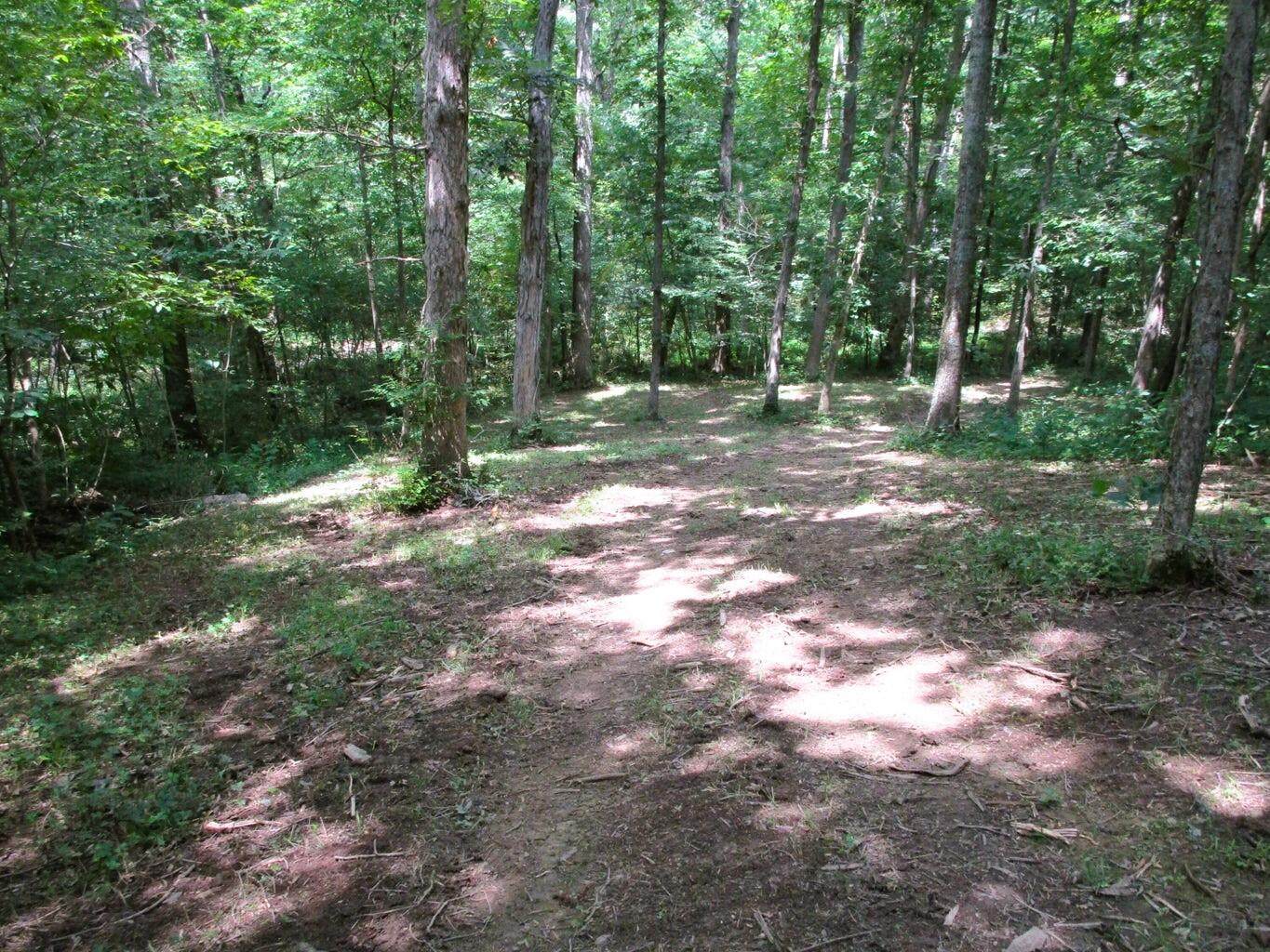 11.5-ac Osborne Road Dry Ridge, KY 41035 - Photo 18 of 38 Osborne 18