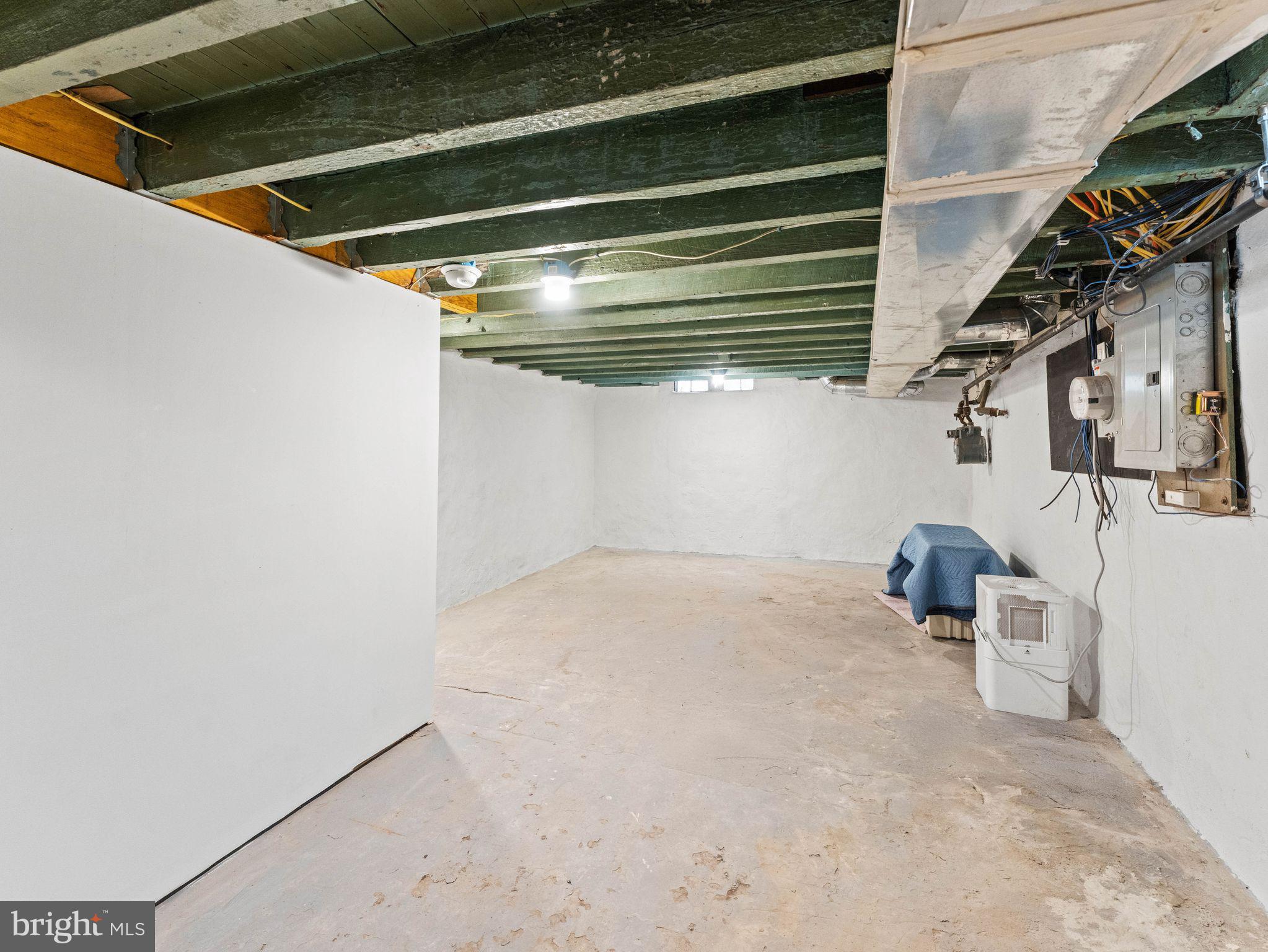 2558 Cedar Street Philadelphia, PA 19125 - Photo 28 of 38 Ample Storage Basement