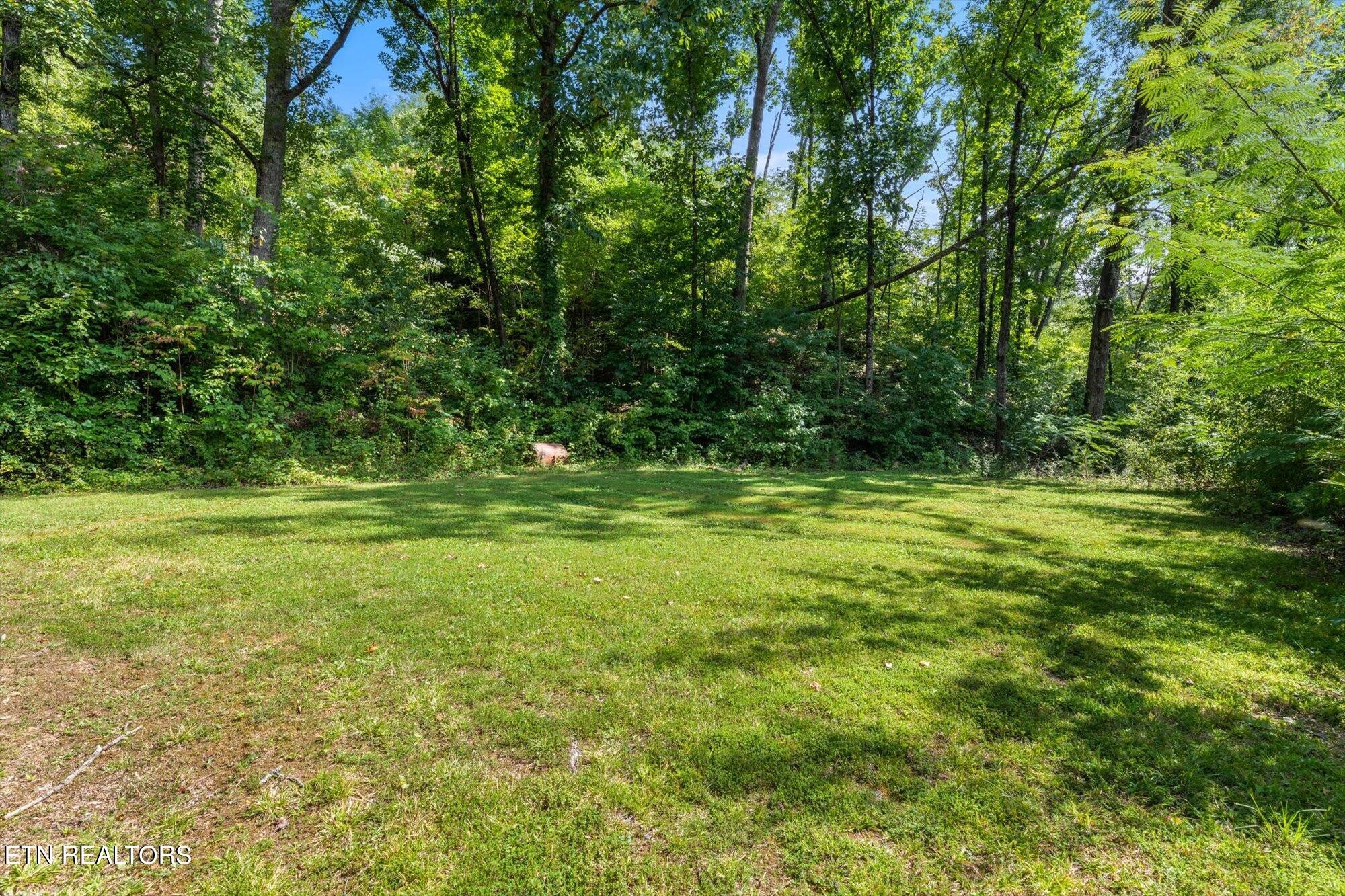 244 Spring Valley Road Sevierville, TN 37863 - Photo 43 of 60