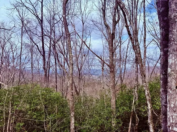 $46,000 | 3.06-ac 3.06-ac Ridgeline Drive, Hayesville, NC 28904