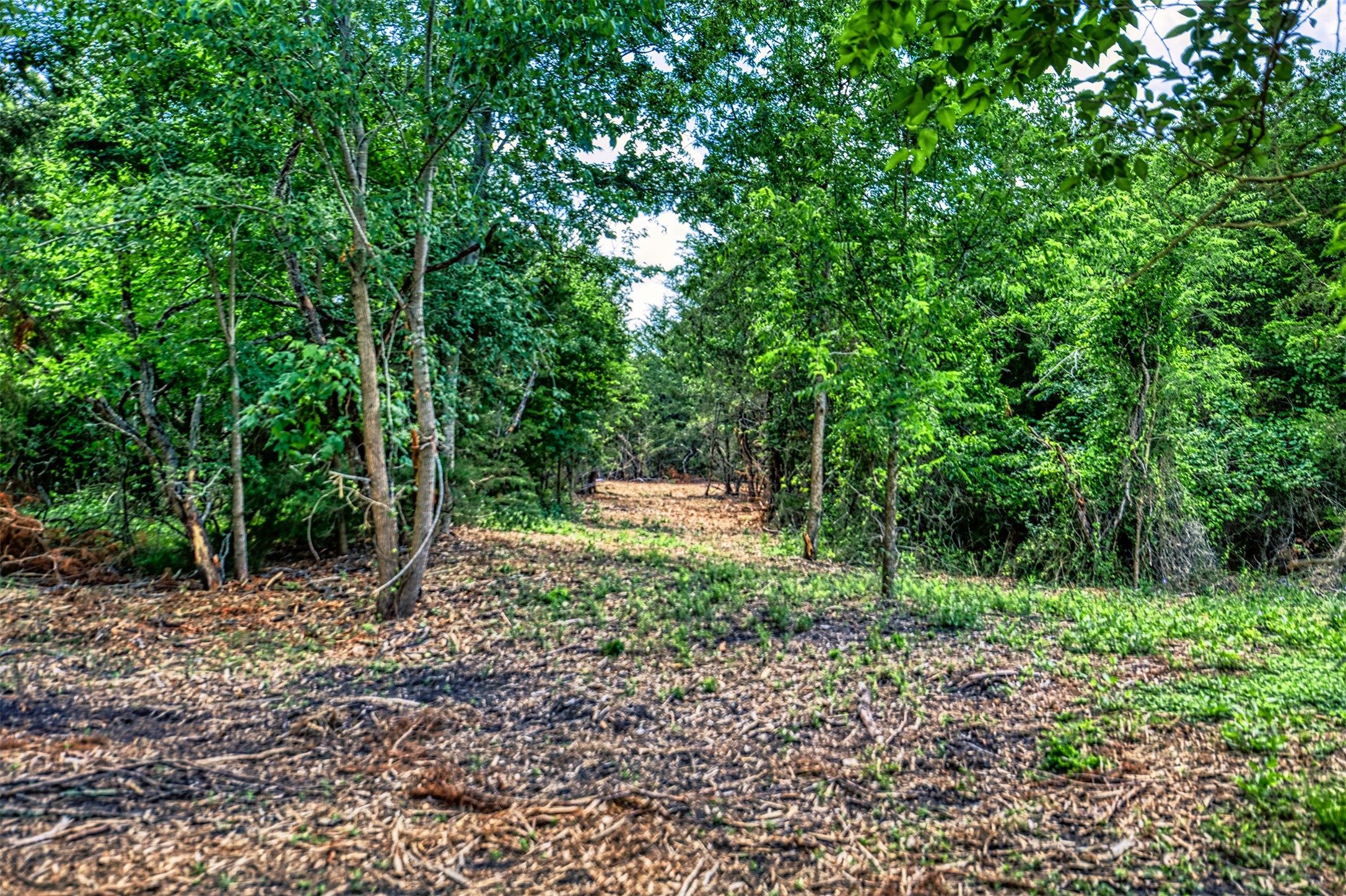 Lot 8 Wonder Hill Road Chappell Hill, TX 77426 - Photo 7 of 15 a backyard of a house with lots of green space and fountain