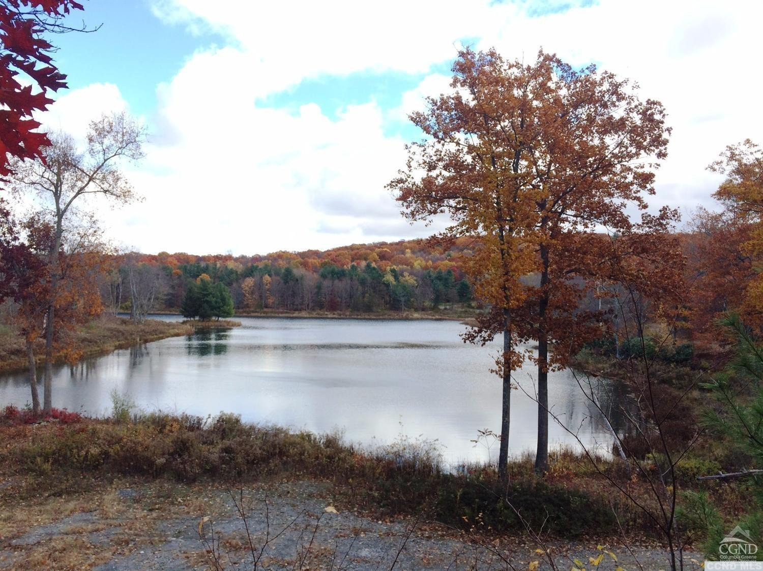 6 Stonegate Off Birch Hill Road Craryville, NY 12521 - Photo 2 of 6 Pond view