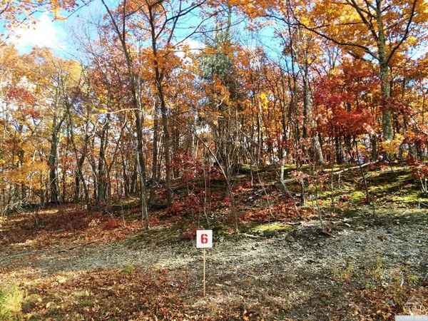 $350,000 | 6 Stonegate Off Birch Hill Road, Craryville, NY 12521