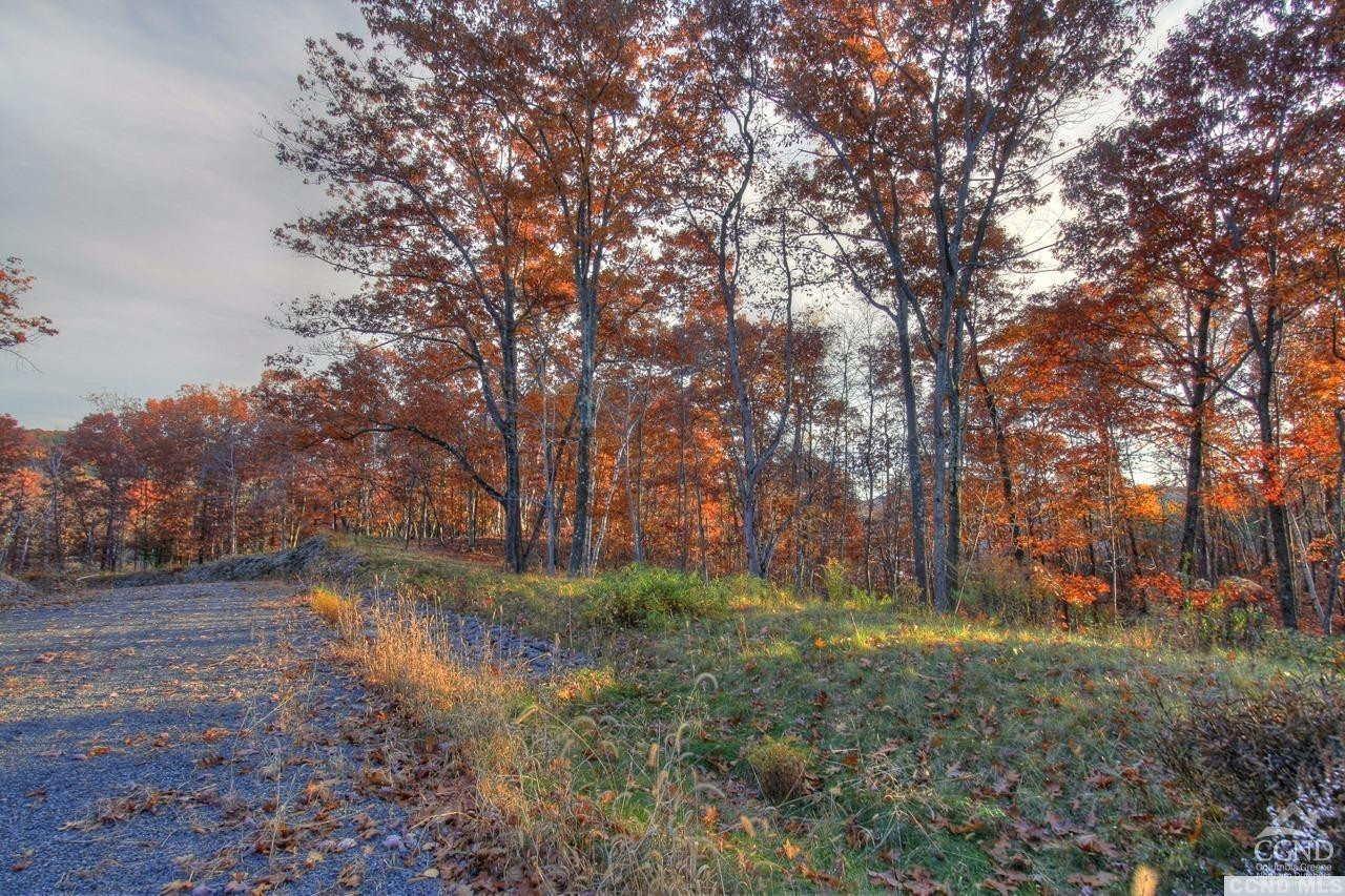 6 Stonegate Off Birch Hill Road Craryville, NY 12521 - Photo 5 of 6 Lot 6