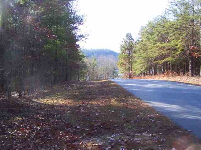 104 Princess Tree Way, Unit KVVP47 Sunset, SC 29685 - Photo 3 of 15 Gallery Image 3